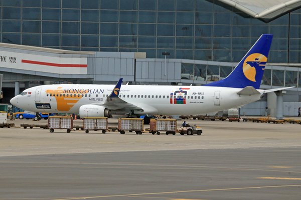 Discover the Top UK Campsites for Immersive Wildlife Encounters in Their Natural Habitats