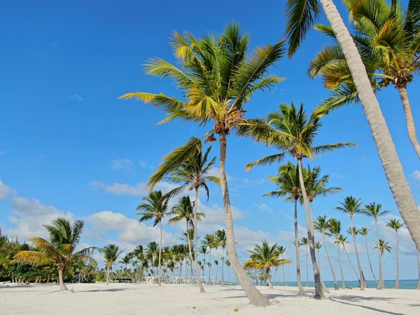 What are some budget-friendly ways to enjoy theatre performances in the West End?